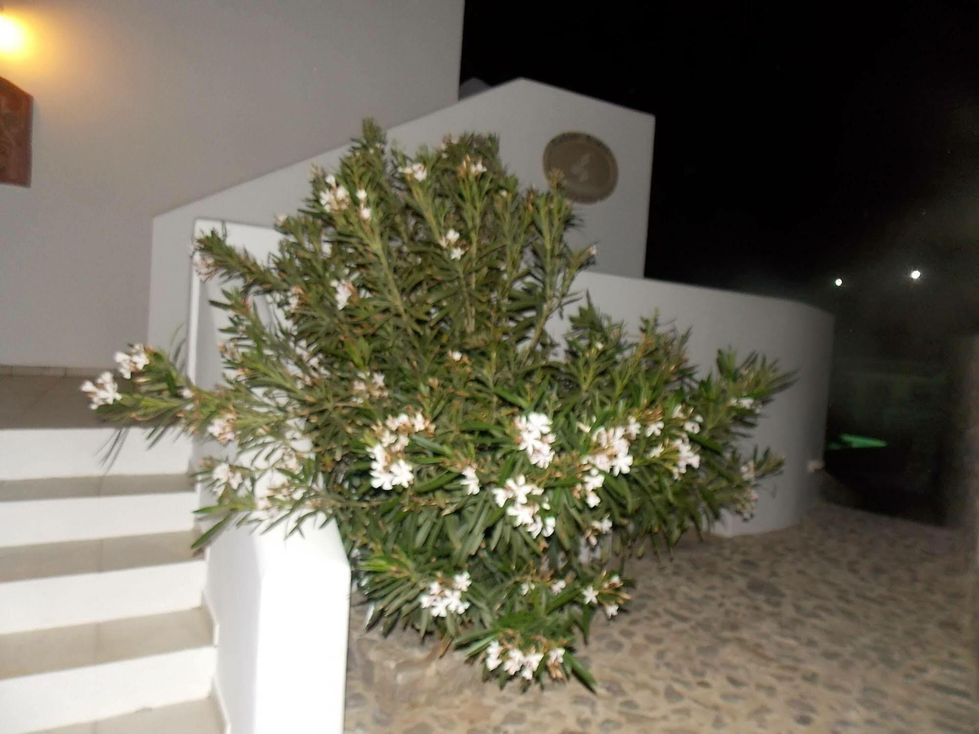 Lavarock Santorini Perissa  Exterior foto